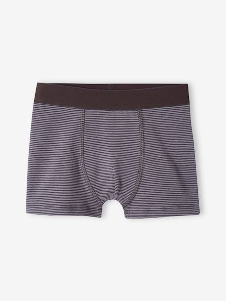 Pack of 5 Graphic Boxers in Stretch Organic Cotton for Boys ecru 
