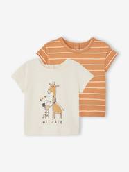 Pack of 2 Basic T-Shirts for Babies