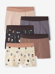 Pack of 5 Graphic Boxers in Stretch Organic Cotton for Boys