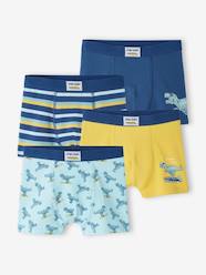 Boys-Pack of 4 "Dino Surf" Stretch Boxers in Organic Cotton for Boys