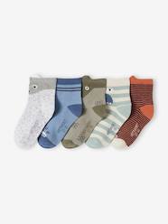 Boys-Underwear-Socks-Pack of 5 Pairs of Animals Socks for Boys