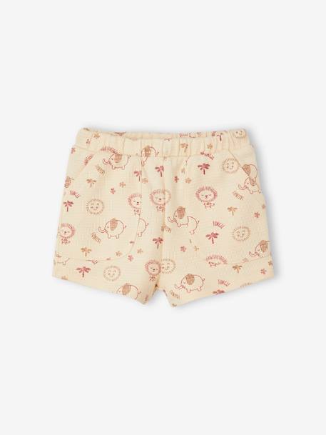 Combo: Grandad-Style T-Shirt + Shorts for Babies mocha 