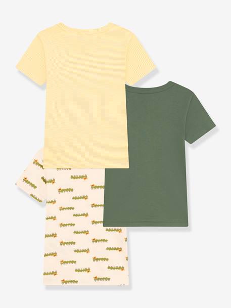 Pack of 3 Short Sleeve T-Shirts by PETIT BATEAU green 