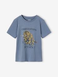 Boys-Tops-T-Shirts-Dinosaur T-Shirt for Boys