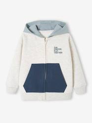Boys-Cardigans, Jumpers & Sweatshirts-Colourblock Sports Jacket with Hood for Boys