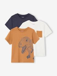 -Pack of 3 Assorted T-Shirts for Boys