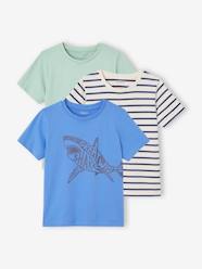 Boys-Tops-T-Shirts-Pack of 3 Assorted T-Shirts for Boys