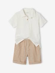 Boys-Sets-Occasion Wear Combo: Polo Shirt & Shorts for Boys