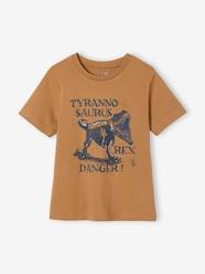 Boys-Tops-T-Shirts-Dinosaur T-Shirt for Boys