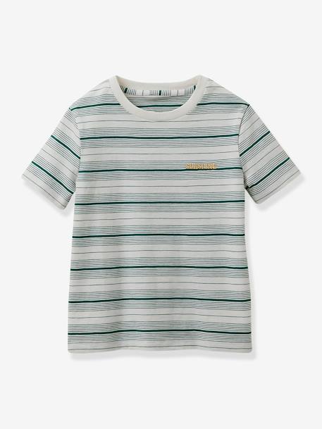 Striped T-Shirt in Organic Cotton for Boys, by CYRILLUS green 