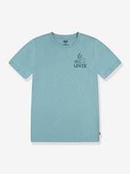 Boys-Graphic T-Shirt by Levi's® for Boys