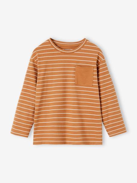 Striped T-Shirt for Boys pecan nut+slate blue 