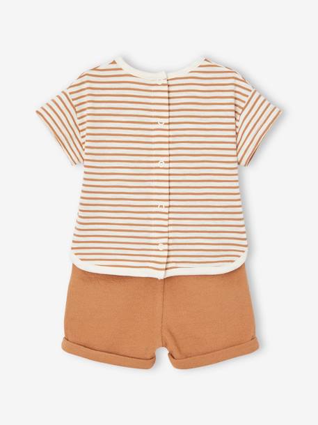 3-Piece Combo: T-Shirt, Shorts & Matching Hat for Newborn Babies cappuccino 