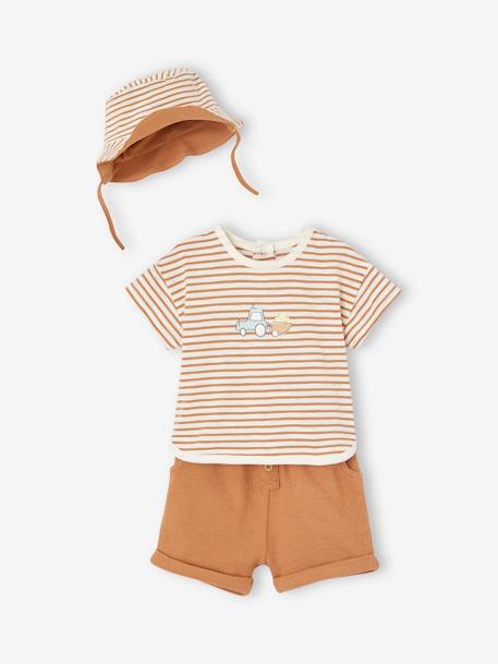 3-Piece Combo: T-Shirt, Shorts & Matching Hat for Newborn Babies cappuccino 