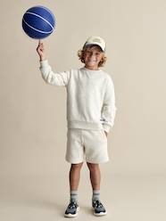 Boys-Sweatshirt & Shorts Sports Combo for Boys