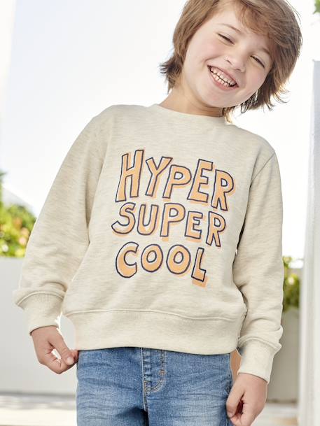 Basics Sweatshirt with Graphic Motif for Boys apricot+grey blue+marl beige+pistachio 
