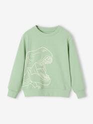 Basics Sweatshirt with Graphic Motif for Boys