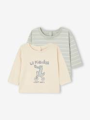 Baby-T-shirts & Roll Neck T-Shirts-Pack of 2 Basic Tops for Babies