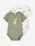 Pack of 2 Short Sleeve Bodysuits  for Babies, The Lion King by Disney® khaki 