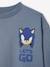 Sonic® the Hedgehog Sweatshirt for Boys grey blue 