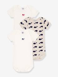 Baby-Pack of 3 Short Sleeve Bodysuits, Whales Print, by PETIT BATEAU
