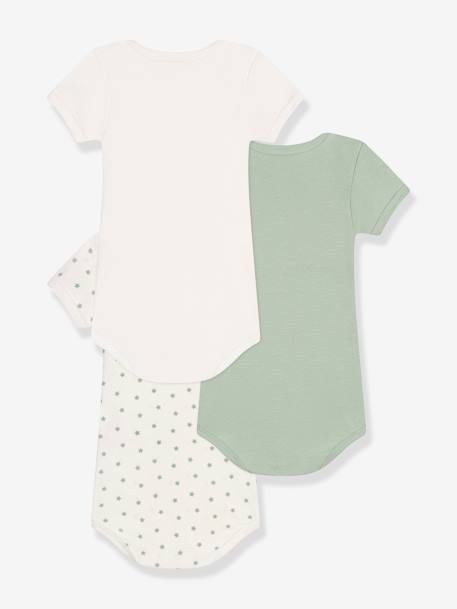 Pack of 3 Short Sleeve Bodysuits, by PETIT BATEAU almond green 