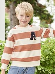 Boys-Cardigans, Jumpers & Sweatshirts-Sweatshirts & Hoodies-Sweatshirt with Wide Stripes & Bouclé Badge for Boys
