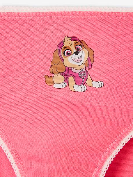 Pack of 3 Paw Patrol® Briefs for Children rose 