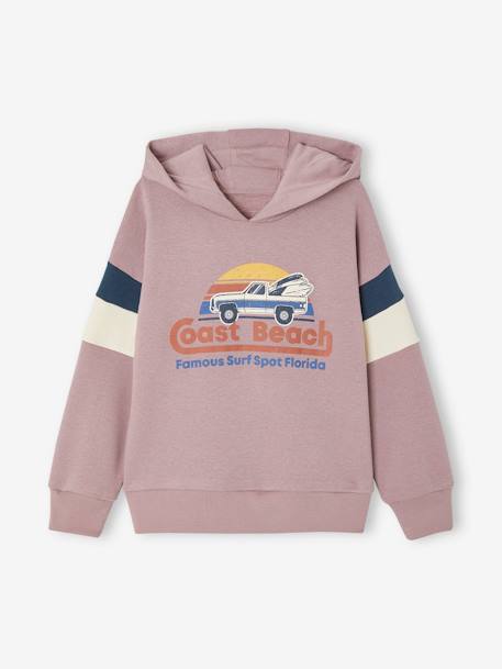 Hoodie with Graphic Motif & Colourblock Sleeves for Boys mauve+ochre 