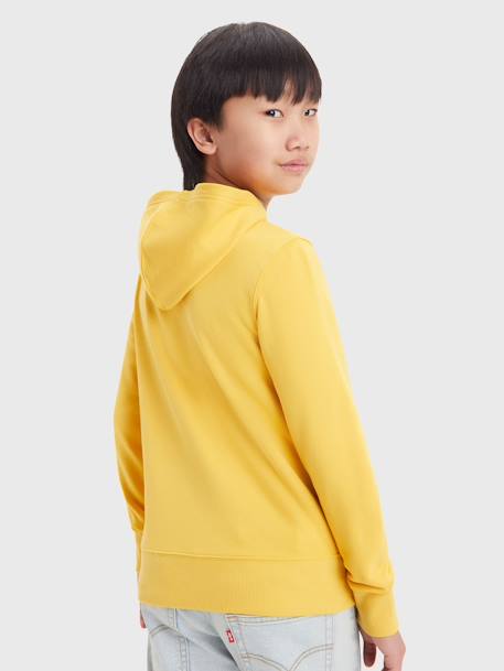 Hooded Sweatshirt for Babies, LVB Mini Batwing by Levi's® almond green+mustard 