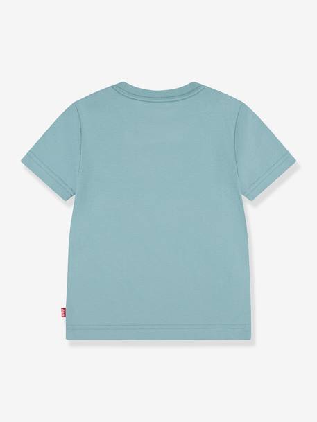 Levi's® Chest Batwing T-Shirt almond green 