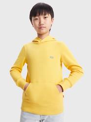 Boys-Tops-T-Shirts-Hooded Sweatshirt for Babies, LVB Mini Batwing by Levi's®