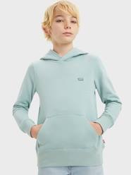 Boys-Tops-Hooded Sweatshirt for Babies, LVB Mini Batwing by Levi's®