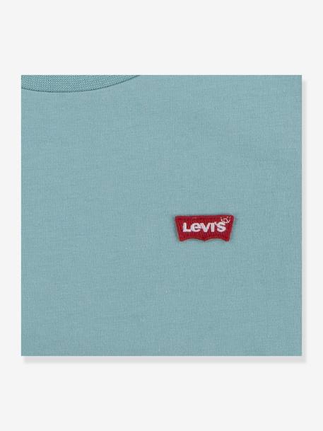Levi's® Chest Batwing T-Shirt almond green 
