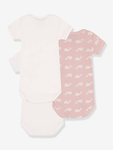Pack of 3 Short Sleeve Organic Cotton Bodysuits, Whales by Petit Bateau pale pink 