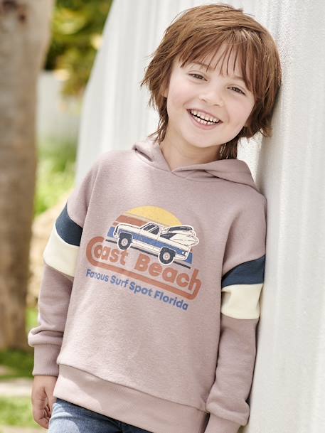 Hoodie with Graphic Motif & Colourblock Sleeves for Boys mauve+ochre 
