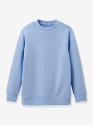 Boys-Cardigans, Jumpers & Sweatshirts-Sweatshirts & Hoodies-Sweatshirt for Boys, by CYRILLUS