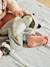 Gaston Raccoon Comforter - KALOO grey 