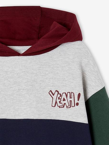 Colourblock Hoodie for Boys, Basics hazel+multicoloured 