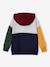Colourblock Hoodie for Boys, Basics hazel+multicoloured 