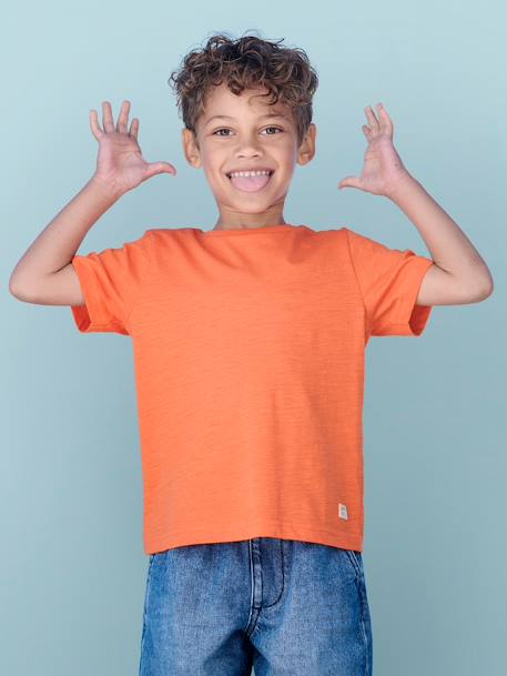 BOYS SHORT SLEEVE T-SHIRT WHATS YOUR VICE main image 1