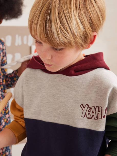 Colourblock Hoodie for Boys, Basics hazel+multicoloured 