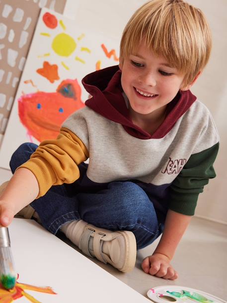 Colourblock Hoodie for Boys, Basics hazel+multicoloured 
