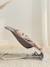 Ergonomic, Natural Rocking Bouncer, Bliss BABYBJORN anthracite+sandy beige 