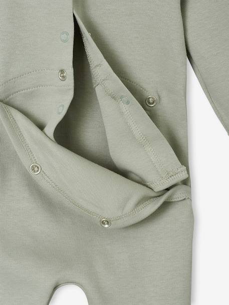 Pack of 3 Basics sleepsuits green 