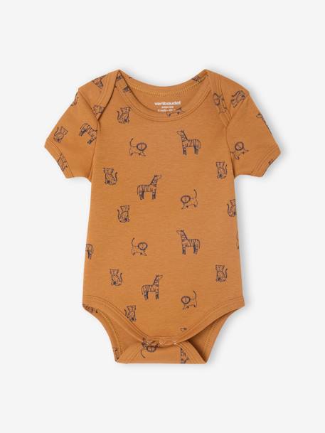 Pack of 3 short-sleeved Safari bodysuits camel 