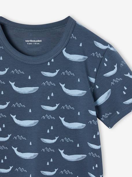 Pack of 3 'Whale' short-sleeved t-shirts for boys ocean blue 