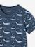 Pack of 3 'Whale' short-sleeved t-shirts for boys ocean blue 