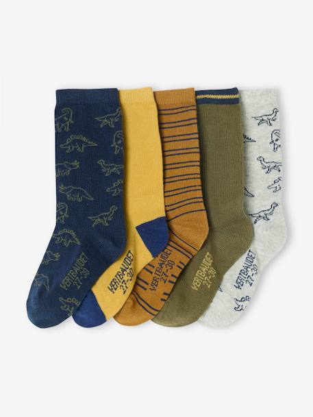 Pack of 5 Pairs of Dinosaur Socks for Boys aqua green 
