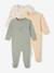 Pack of 3 Basics sleepsuits green 